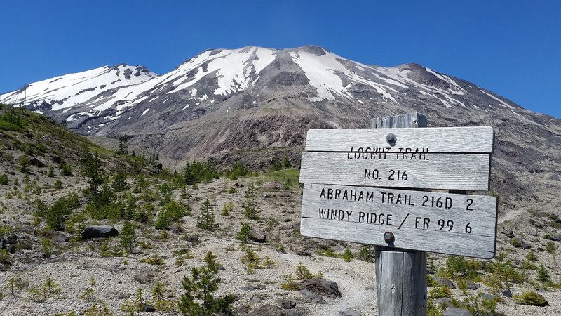 Trail sign for Loowit, Abraham, and Windy ridge with Mt. St. Helens in the background.