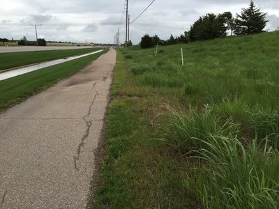 Nothing special, just taking a pic of the scenery along the Maize Bike Path