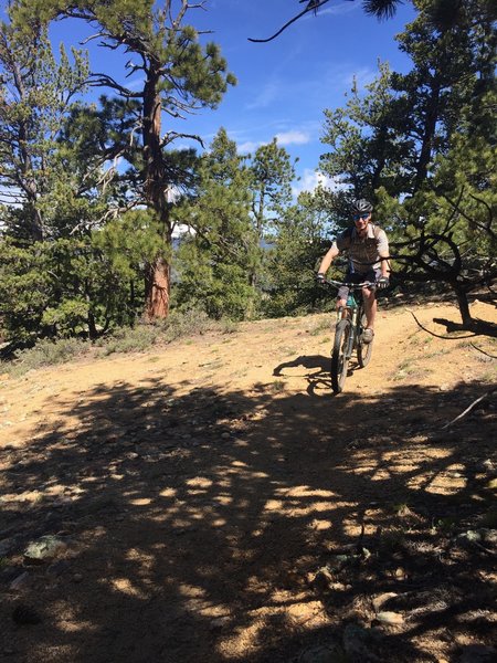 Nice views of the Indian Peaks along this portion of the trail.