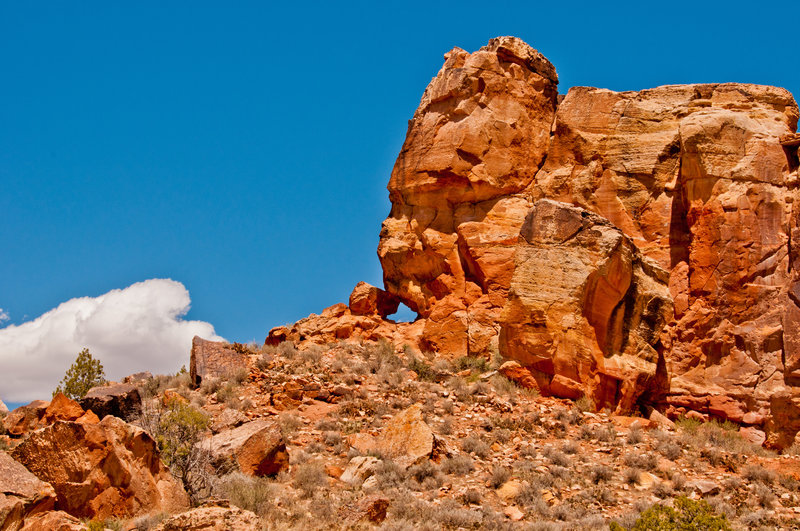 Canyons of the Ancients