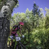 EMGT includes some of Crested Butte's finest  singletrack