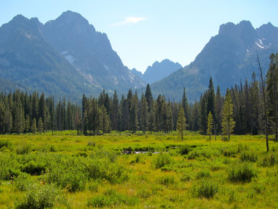 View from Fishhook Creek Meadow
