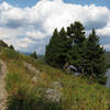 Trail along Redfish Lake