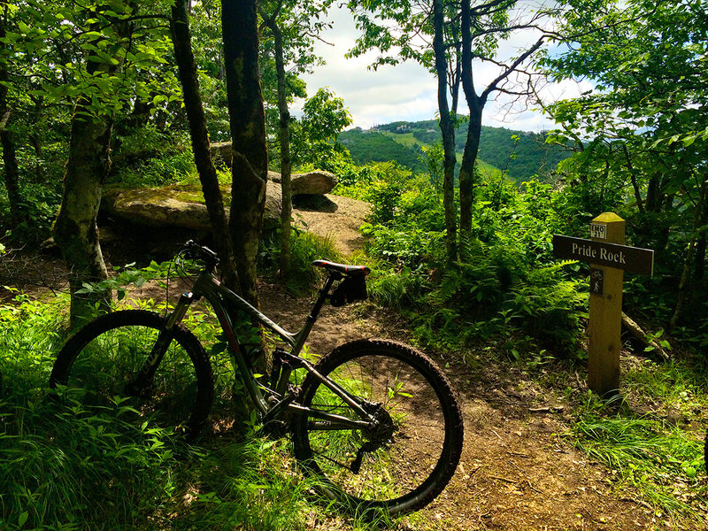 Pride Rock Overlook on The Southern Ridge Trail.