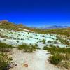 Crossing the greenish and rocky terrain on a hot summer afternoon.