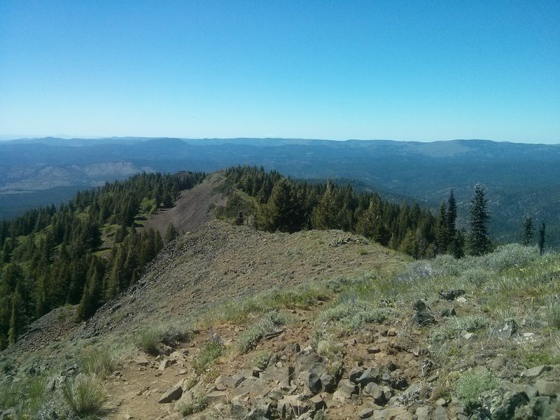 Ridge line at the top of Lookout Mountain.