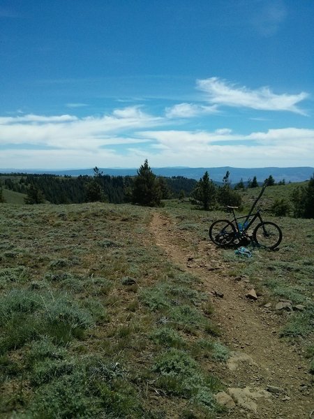 Top of Lookout Mountain looking south.