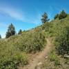 Lower Lookout Mountain trail descent.