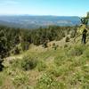 Looking north on the Lower Lookout Mountain trail.