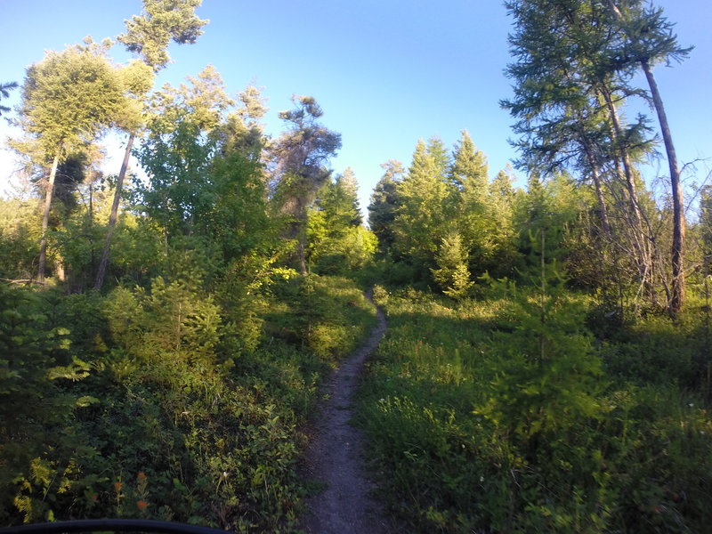 Afte a very steep climb the trail will level off with some isolated singletrack.