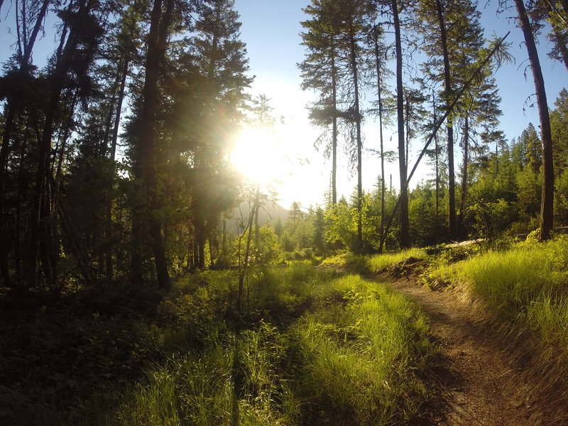 Sun rising just prior to hitting another steep, fast section.