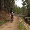 Coming down the last part of Lester River Trail