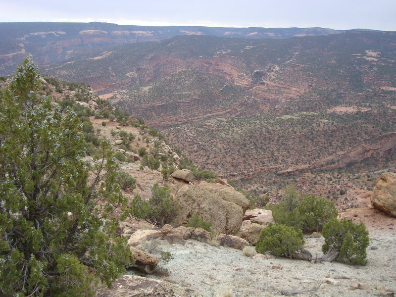 Looking SW towards Roc Creek and the Sew Em Up Mesa WSA.