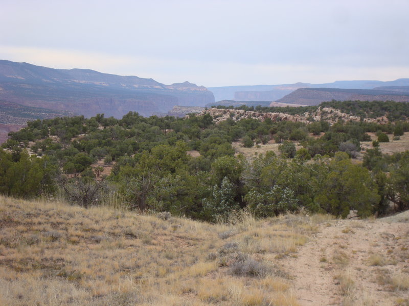 Looking north with the Palisade above Gateway visible