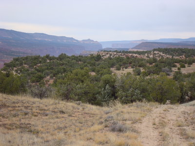 Looking north with the Palisade above Gateway visible