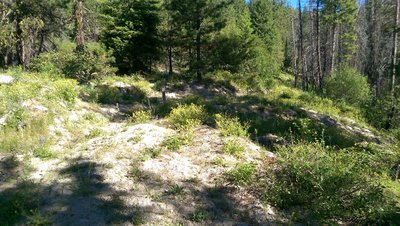 Climbing up Granite Basin