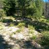 Climbing up Granite Basin