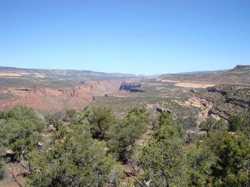 Great view of the Dolores River Canyon south of Gateway and the broad bench. Looking north with the Palisade above Gateway just visible.