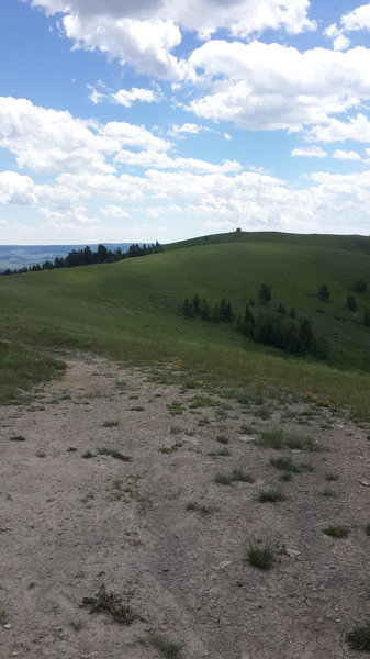 Looking towards fire lookout