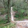 It's called the plunge and that singletrack you see on the left is the bypass. Believe me, the picture doesn't do it justice.