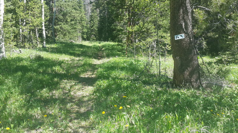 Old signage I saw while xc skiing led me here