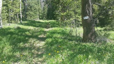 Old signage I saw while xc skiing led me here