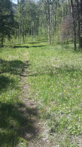 Lost trail found