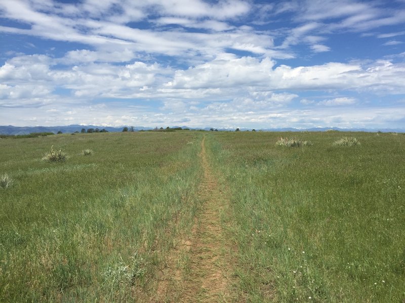 Wide open but still singletrack trail out to the overlook