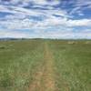 Wide open but still singletrack trail out to the overlook