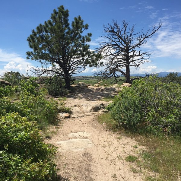 A short and easy/intermediate technical section just past the overlook