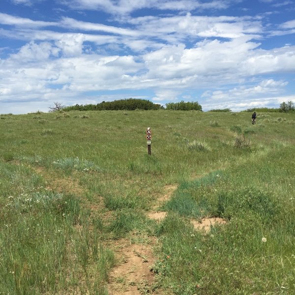 The intersection at the overlook loop is well marked, flow is counterclockwise.