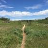 At the start of the trail, this gate is closed with a large sign posted when the trail is closed for raptor nesting