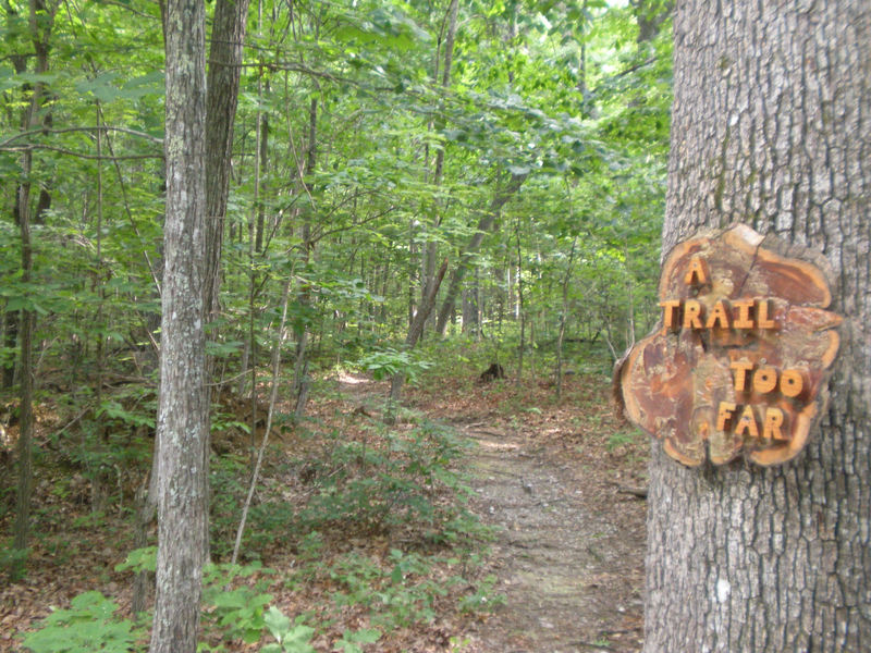 Creative trail sign