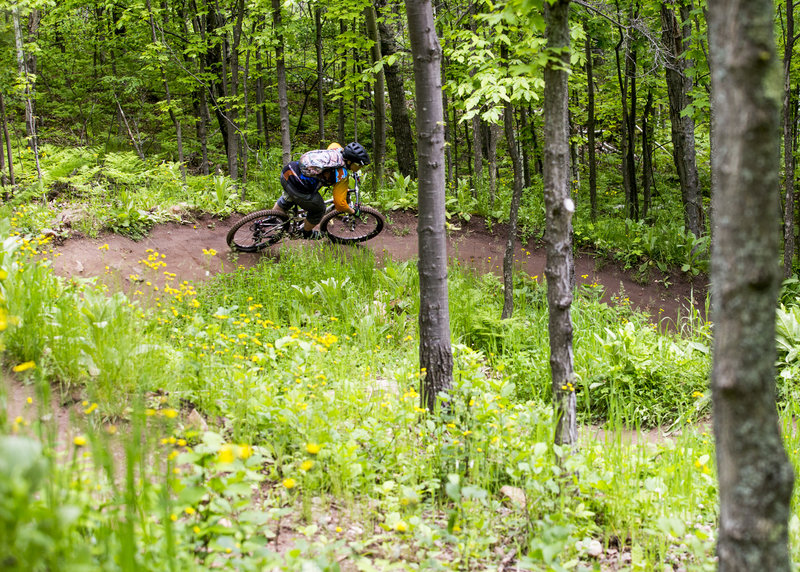 Getting things started on the upper part of Down Dogger trail.