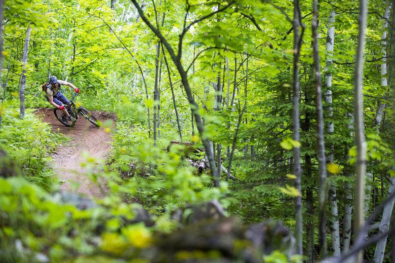 One of many fun berms on the Down Dogger trail.