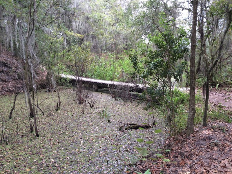 Long bridge giving Bridges Trail its name