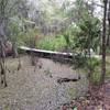 Long bridge giving Bridges Trail its name