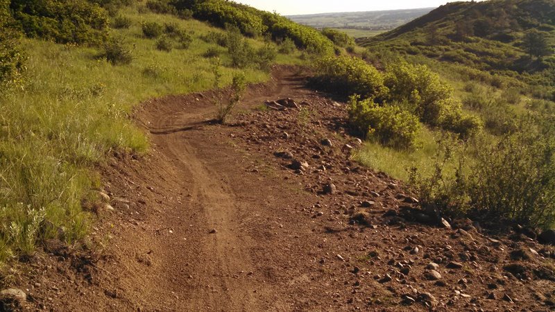 Flowing singletrack descent of Pleasant Pass Trail