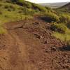 Flowing singletrack descent of Pleasant Pass Trail