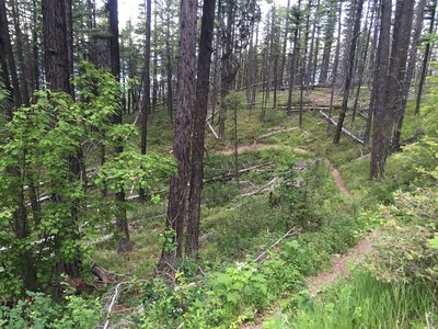 View toward the lake before dropping into the fast downhill