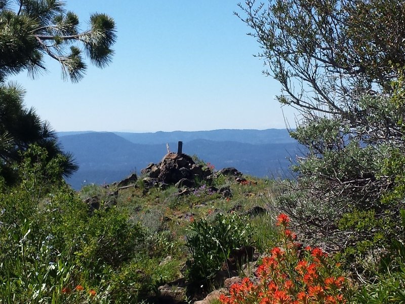 Wildflowers before the rocks...