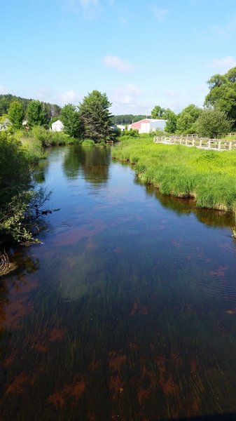 Western view of the trout stream from the second bridge