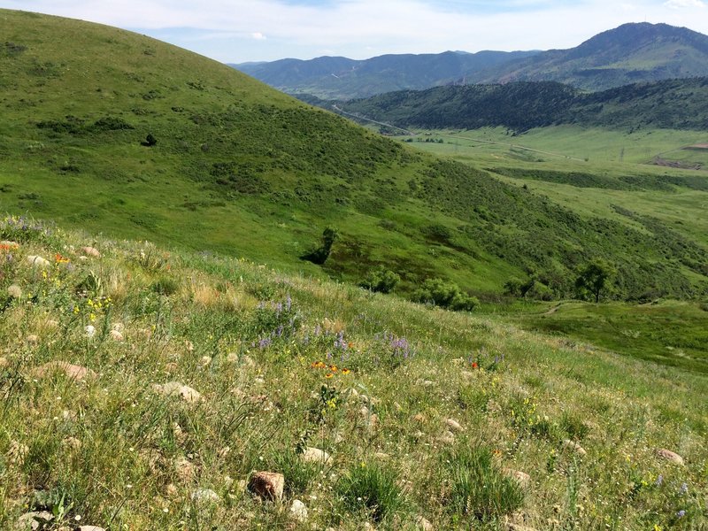 Bright green hills after a wet spring.