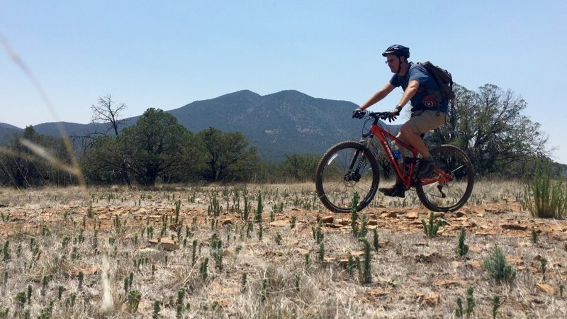 On the Continental Divide trail with Bear Mountain in the background.