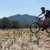 On the Continental Divide trail with Bear Mountain in the background.