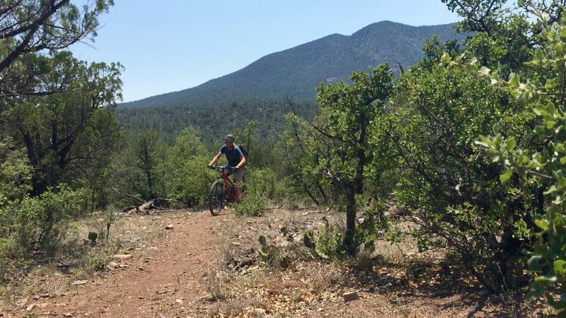 Heading up after a series of switchbacks with Bear Mountain in the background.