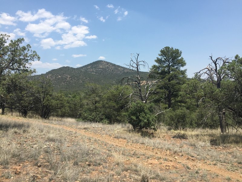 Looking back at Gomez Peak.