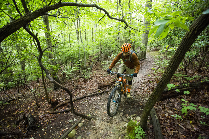 Climbing up singletrack in Glen Carlyn Park.