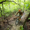 Climbing up singletrack in Glen Carlyn Park.