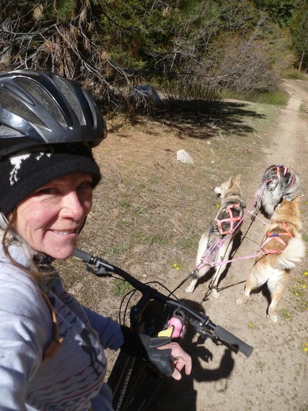 Heading home on the Kramer Meadow Trail